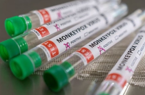 Anvisa varíola dos macacos