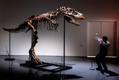 Leilão Fóssil de Dinossauro